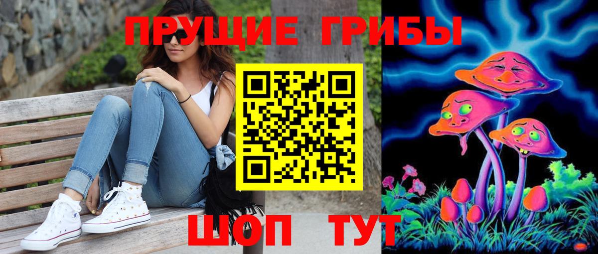 Псилоцибиновые грибы Psilocybe  Вход с VPN  Сатка 