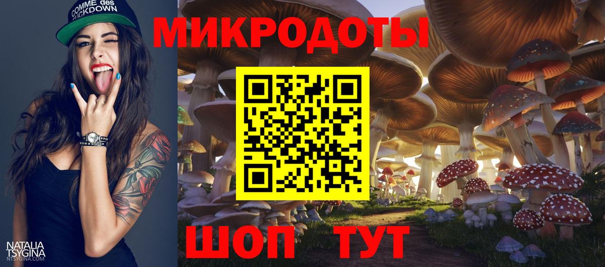 Псилоцибиновые грибы Psilocybe Сатка